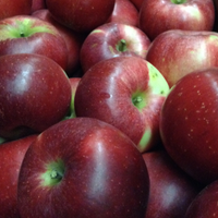 Apples, Arlet (1 bushel = 40 lbs)