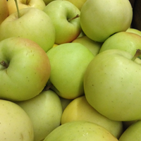 Apples, Blondee (1 bushel = 40 lbs)