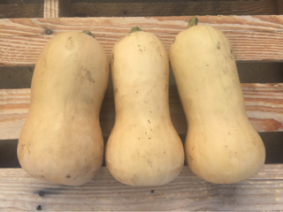 Squash, Butternut, Certified Organic (1lb)