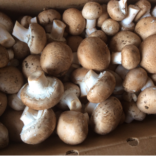 Mushrooms, Crimini (5 lbs)