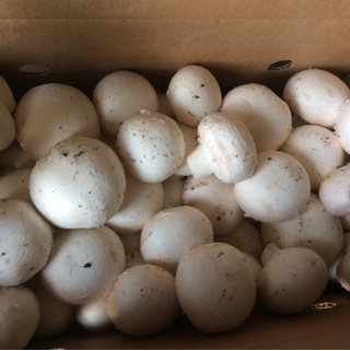 Mushrooms, Table White, Large (3 lbs)