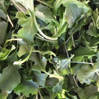 Salad Greens, Mizuna, Baby, 1/2 Pound Bag