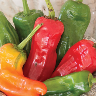 Peppers, red and green Cubanlle (1lb)