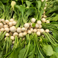 Turnips, Hakurei White Japanese with greens (1 bun)