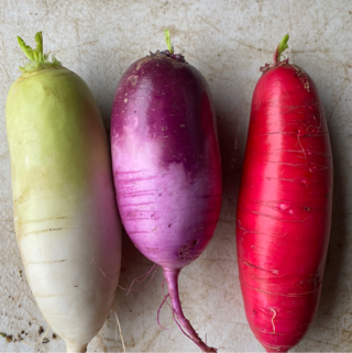 Daikon - Green, Purple, Red Mix (15lb)