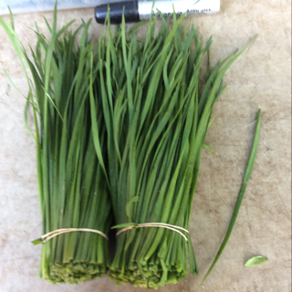 Chives, Garlic (20) Bunches)