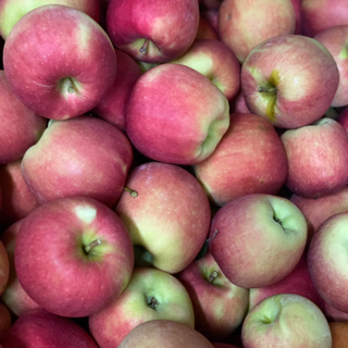 Apples, Ambrosia (1 bushel = 40 lbs)