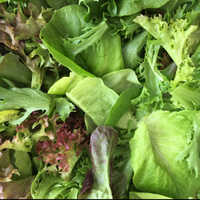 Mesclun (3 lbs)