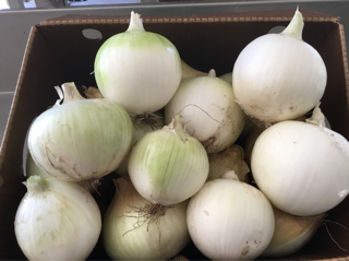 Onions, White Spanish (1 lb)