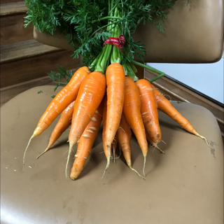 Carrots Orange (12 Bunches)