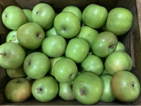 Apples, Greening (1 bushel = 40 lbs)
