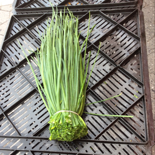 Chives, Onion (1 Bunch)