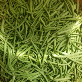 Green Beans, Haricot Vert - Certified Organic (10 lbs)
