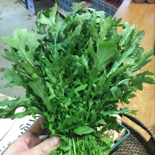 Arugula, Wild (20 bunches)