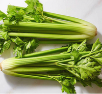 Celery (1 head)