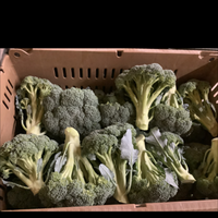 Broccoli (1lb)