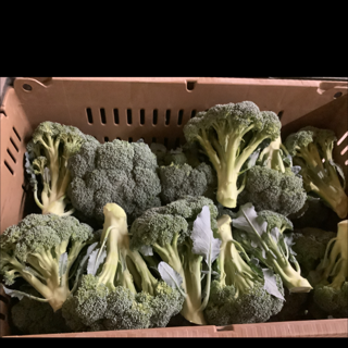 Broccoli (1lb)