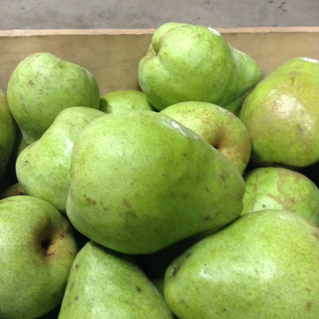 Pears, Potomac (1 lb)