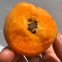 Jam, Apricot (8 oz)
