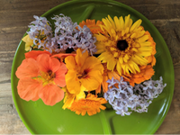 Edible Flowers (16 oz clamshell)