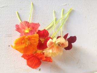 Edible Flowers, Nasturtium