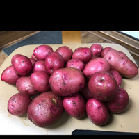 Potatoes, Red Pontiac (20 lbs)