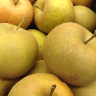 Apples, Golden Russet (1 bushel = 40 lbs)