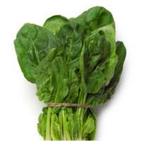 Spinach (18 Bunches)