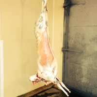 Lamb, Whole Carcass (Approx. 65 lbs)