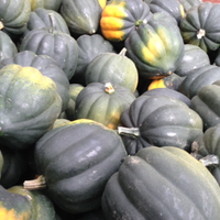 Squash, Acorn (2lbs)