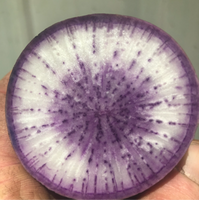 Radishes, Daikon, Purple, Certified Organic (1 lb)