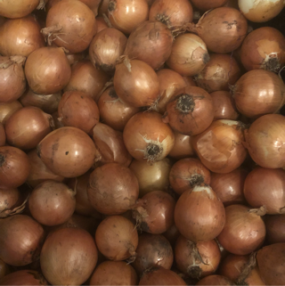 Onions, Yellow - Certified Organic(1 lb)