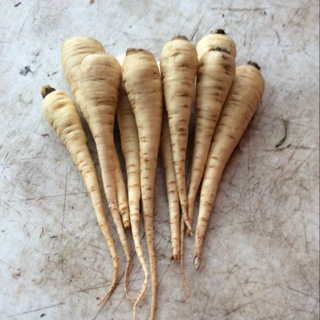 Parsnips Fresh Dug Baby (1 lb)