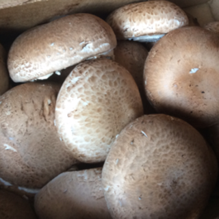 Mushrooms, Portobello Caps (3 lbs)