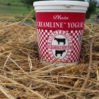 Yogurt, (Quart) Creamline Plain