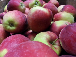 Apples, Empire (1 bushel = 40 lbs)