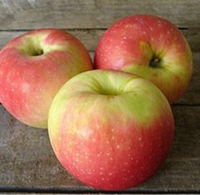 Apples, Zestar (1 bushel = 40 lbs)