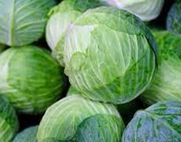 Cabbage, Green (1head)