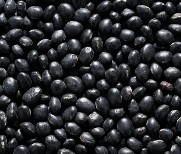 Beans, Black Beans (6 x 1.5lb Bags)