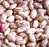 Beans, Cranberry Beans (25 lbs)