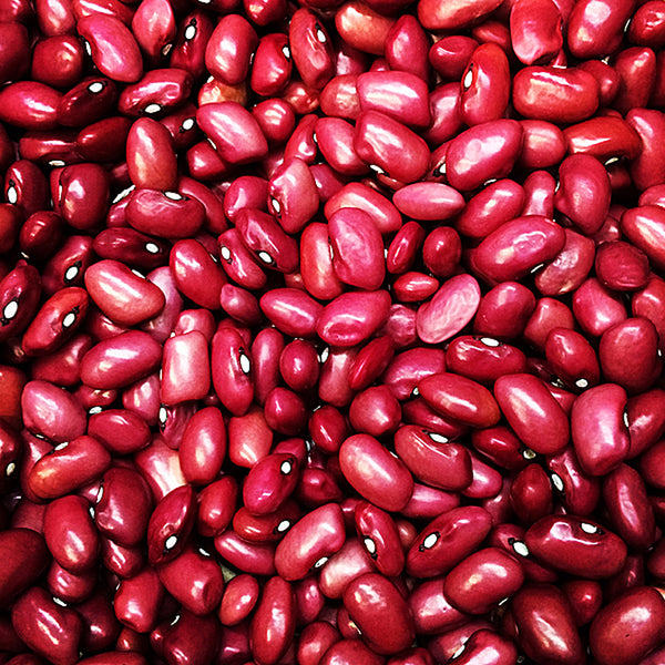 Beans, Red Kidney Beans Retail Packages (6 x 1.5lb Bags)